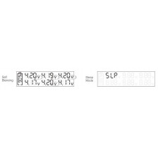 SkyRc Analizzatore ed equalizzatore di Batterie Li-po 2-6S (art. SK500007-01)
