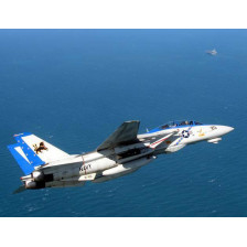 Tamiya US Grumman F-14D TOMCAT kit di montaggio scala 1/48 (art. TA61118)