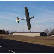 E-flite Motoveleggiatore Conscendo Evolution 1.5 m BNF Basic con AS3X e SAFE Select (art. EFL01650)