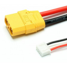Extron Batteria Li-po X2 11,1V 5000mAh 30-60C connettore XT90 (art. X6429)
