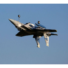 E-flite F-15 Eagle 64mm EDF BNF con AS3X e SAFE Select (art. EFL97500)