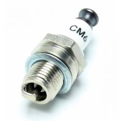 Pichler Candela Spark Plug CM6 (M10x1) per motori a benzina (art. C5210)