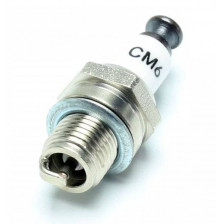 Pichler Candela Spark Plug CM6 (M10x1) per motori a benzina (art. C5210)