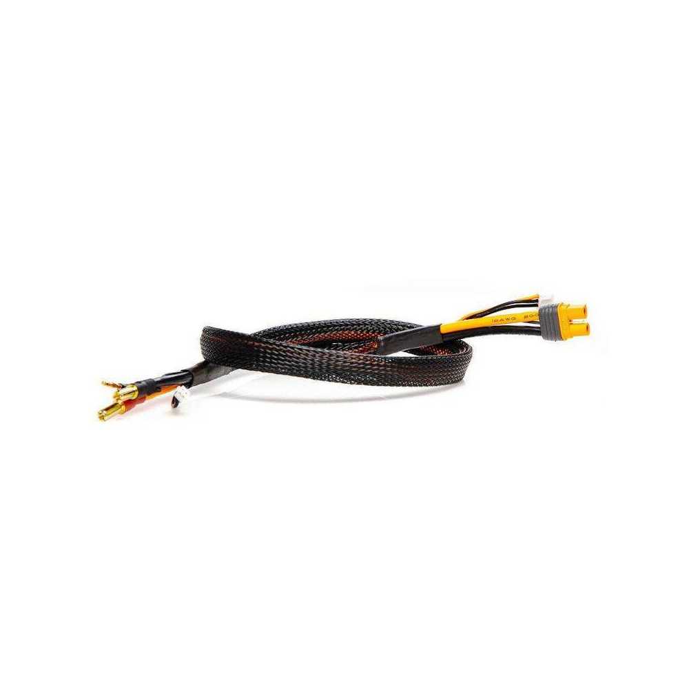 Spektrum Connettore per batteria con Bullet 5mm / IC3 Femmina per caricatore Smart  (art. SPMXCA316)
