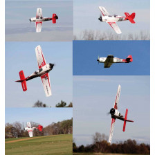 Multiplex Aeromodello elettrico RaceWulf RR pronto per la RX (art. MP101771)