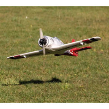 Multiplex Aeromodello elettrico RaceWulf RR pronto per la RX (art. MP101771)