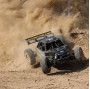 Team Losi Racing Automodello a Benzina DBXL 2.0 4WD scala 1/5 Gas Buggy RTR ICON (art. LOS05008T1)