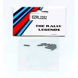 EZpower Spine in Acciaio 2x10mm 10 pezzi (art. EZRL2252)