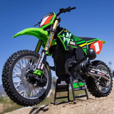 Team Losi Moto Radiocomandata Promoto-MX Pro Circuit scala 1/4 RTR con Batteria e Caricabatterie (art. LOS06002)