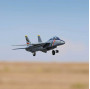 E-flite F-14 Tomcat Twin 40mm EDF BNF Basic con AS3X e SAFE Select (art. EFL01450)