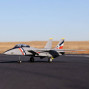 E-flite F-14 Tomcat Twin 40mm EDF BNF Basic con AS3X e SAFE Select (art. EFL01450)