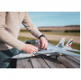 E-flite F-14 Tomcat Twin 40mm EDF BNF Basic con AS3X e SAFE Select (art. EFL01450)