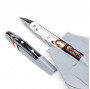 E-flite F-14 Tomcat Twin 40mm EDF BNF Basic con AS3X e SAFE Select (art. EFL01450)