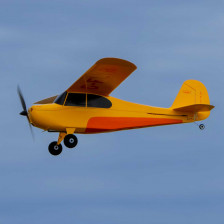 HobbyZone Champ Anniversary | Aereo RC Principianti RTF con SAFE