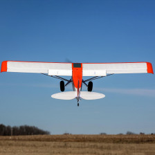 E-Flite Carbon-Z Cub SS BNF AS3X EFL124500 vendita online modellismo