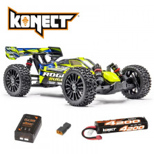 Hobbytech Buggy ROGUE Brushless RTR 1/8 | Casa del Modellismo