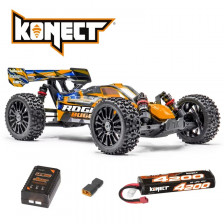 Hobbytech Buggy Rogue Brushless 1/8 RTR: Potenza Accessibile