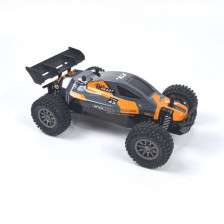Rookie Fighter Buggy 1:18 RTR Auto RC per Principianti - DF3147