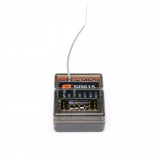 Spektrum DXC+ 12 Canali DSMR+ e Ricevente SR615 - SPM6130