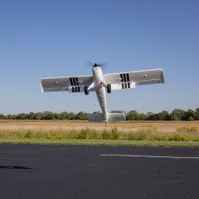 E-flite Timber 1.5m 10th Anniversary BNF | CasadelModellismo