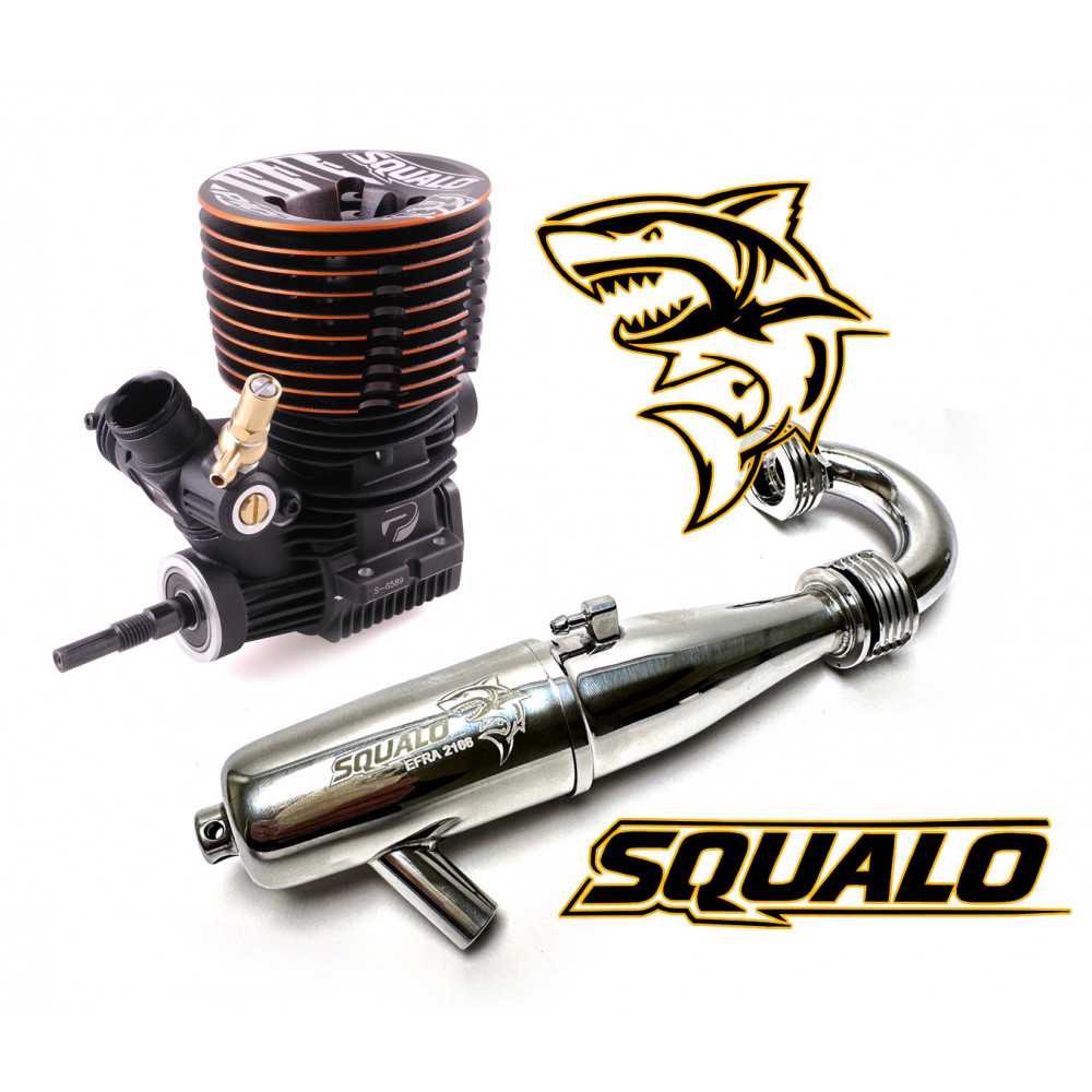 Picco Squalo DLC Buggy .21 Combo Scarico 2166 | Edizione Limitata Picco Squalo DLC Buggy .21 Combo Scarico 2166 | Edizione Limitata