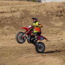 Team Losi Moto Radiocomandata Promoto-MX RTR LOS06000T1 vendita