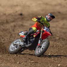 Team Losi Moto Radiocomandata Promoto-MX RTR LOS06000T1 vendita