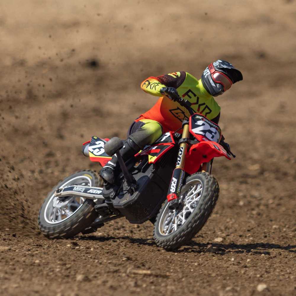 Team Losi Moto Radiocomandata Promoto-MX RTR LOS06000T1 vendita