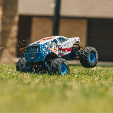 ARRMA Freedom Flyer 223S 2WD Brushless Monster Truck RTR ARA3530SFFT1