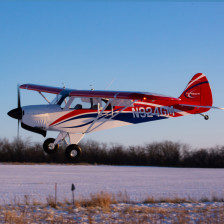 Hangar 9 Carbon Cub FX-3 200cc ARF HAN528) vendita online modellismo