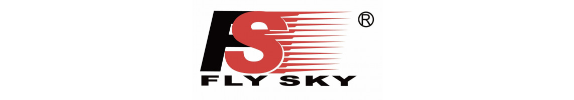 Riceventi Flysky AFHDS 2A e ANT: Con Giroscopio (Gyro) e 2.4Ghz