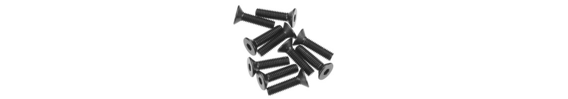 Viti Testa Svasata TSEI Modellismo M2 M3 M4 M5 | Casa del Modellismo