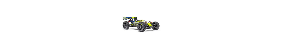 Automodelli Elettrici RC Brushless e Brushed - Buggy, Truck e Crawler